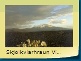 Skjolkviarhraun Vid Heklu