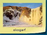 skogarf