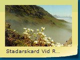 Stadarskard Vid Reydarfjord