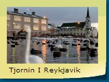 Tjornin I Reykjavik