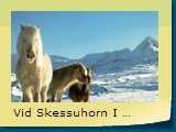 Vid Skessuhorn I Borgarfirdi